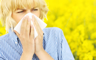 A springtime visit to your chiropractor could help with allergies