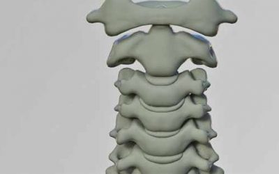 The Truth About Chiropractors